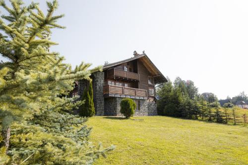 una grande casa su un campo con un albero di Pine Valley House a Zlatibor