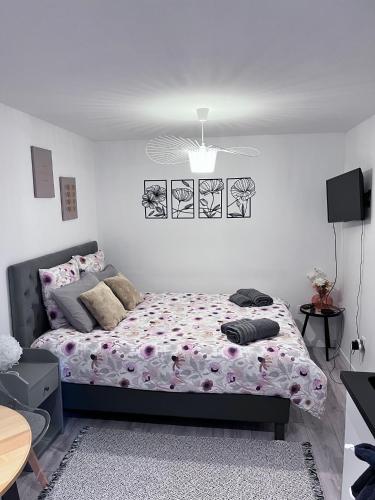 Le Patcho Charmant studio Confortable & Chaleureux , idéalement situé proche centre ville Quartier Neustadt Tribunal, Contades