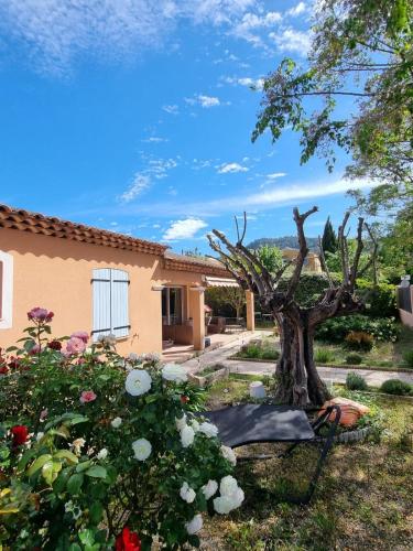 Perfect home for families & friends