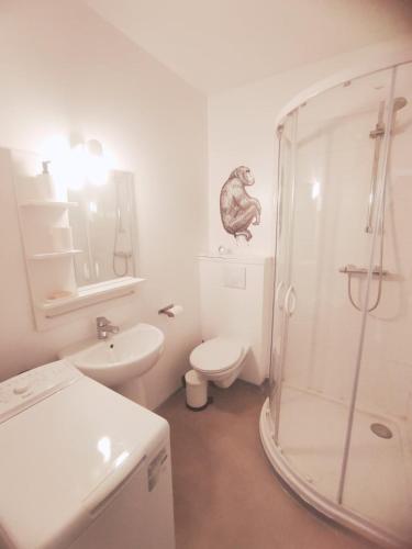une salle de bain avec une douche, des toilettes et un lavabo dans l'établissement AppartementCosy, cœurdeSouillac tidordognehomes, à Souillac