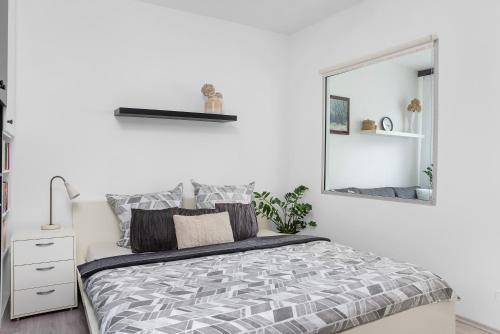 One-bedroom apartment Řečkovice