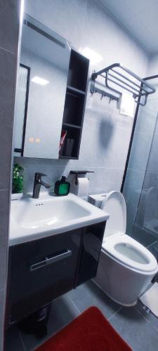 a bathroom with a sink and a toilet and a mirror at Stone Age Nairobi --- Rooftop Pool & Lounge, Gym, Games room, Office Space in Nairobi