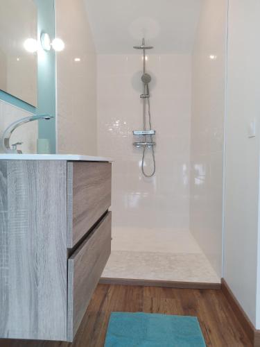 une salle de bain avec douche et lavabo dans l'établissement Maison spacieuse, élégante et moderne, à Mer