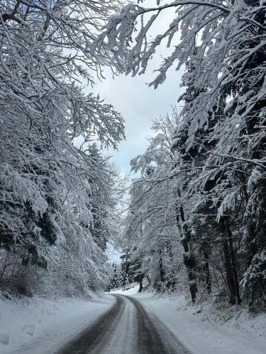 a snowy road with snow covered trees on it at Kuća za odmor Petra in Jasenak