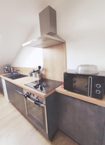 une cuisine avec une cuisinière et un micro-ondes dans l'établissement Atypique, cœurdeSouillac, tidordognehomes, à Souillac