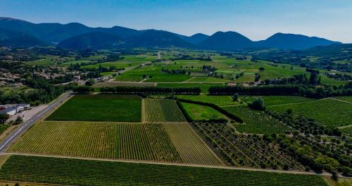 une vue aérienne sur un vignoble avec des montagnes en arrière-plan dans l'établissement Gîte Mas de Boulègue, à Saint-Pantaléon-les-Vignes