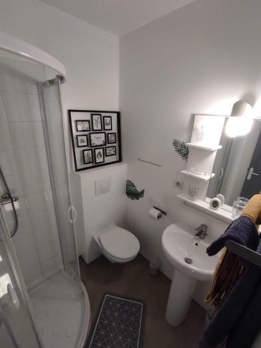 une salle de bain avec toilettes, douche et lavabo dans l'établissement AgréableStudio, cœurdeSouillac, tidordognehomes, à Souillac