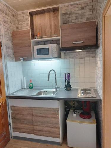 a small kitchen with a sink and a microwave at Haus Oberkassel in Bonn
