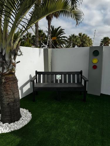 a bench sitting next to a wall with a palm tree at Pemba Guest Cape Town in Cape Town