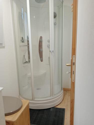 une douche avec une porte vitrée dans une salle de bain dans l'établissement Tiny house sous le chene, à Saint-Roch