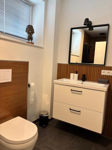 a bathroom with a toilet and a sink and a mirror at Ferienwohnung-Domziegelhof in Schleswig
