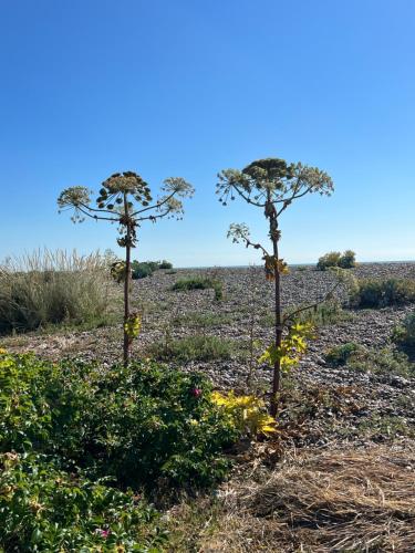 Φυσικό τοπίο κοντά σε αυτή η παραθεριστική κατοικία