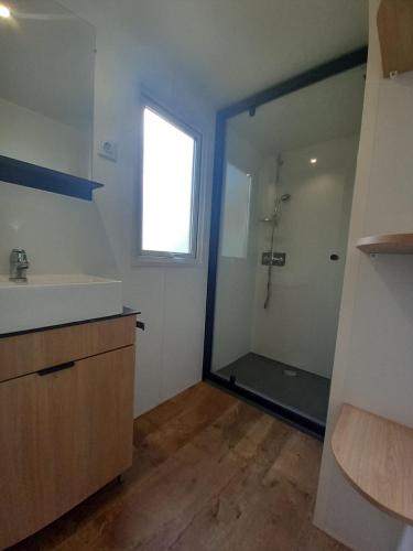 une salle de bain avec douche et lavabo dans l'établissement O'ContisParadise, à Saint-Julien-en-Born