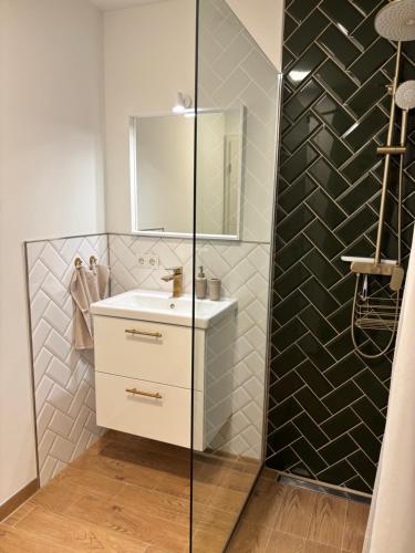 a bathroom with a sink and a glass shower at Ferienwohnung-Domziegelhof in Schleswig