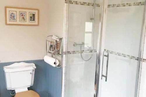 a bathroom with a shower and a toilet at 5-Bed Home - Sleeps 12 Pool Garden & Play Area in Taunton