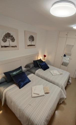 two beds in a small room with blue pillows at Armonía y tranquilidad habitaciones in Albacete