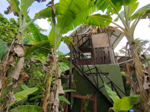 Puerto LimónにあるLala's Placeのジャングル内の木の家