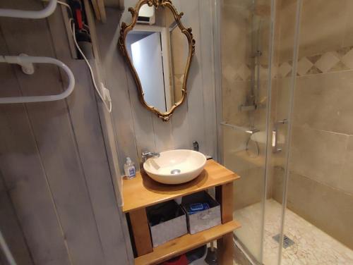 une salle de bain avec un lavabo, un miroir et une douche dans l'établissement Studio les 2 Alpes au Village 1800m-Commerces et télésiège à 50m-Retour ski au pied, à Les Deux Alpes