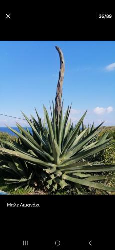 Paesaggio naturale nelle vicinanze dell'appartamento