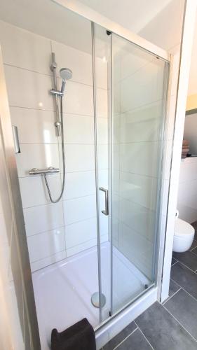 a shower with a glass door in a bathroom at Good Stay Aparthotel mit kostenlosen Parkplätzen in Dresden