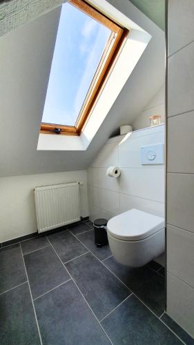 a bathroom with a toilet and a skylight at Good Stay Aparthotel mit kostenlosen Parkplätzen in Dresden