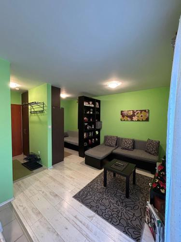 a living room with green walls and a couch at Vila Vedrana Apartman Nedeljkovic in Brzeće