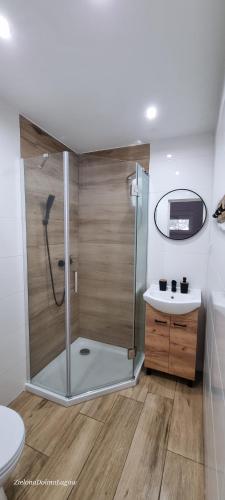 a bathroom with a shower and a sink at Zielona Dolina in Łagów