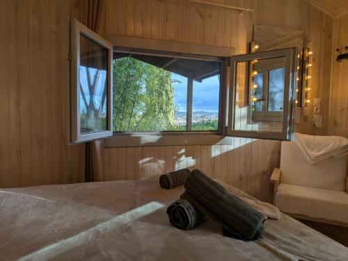 Le Chalet Bleu - jacuzzi photo 3
