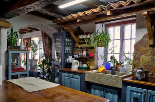 a kitchen with blue cabinets and a counter with plants at Etno kompleks Orahovac - Vila Paun in Vrbica