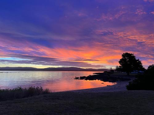 a sunset over a body of water with a tree at LOW HEAD beachside bungalow "Cockle Shell" in Low Head