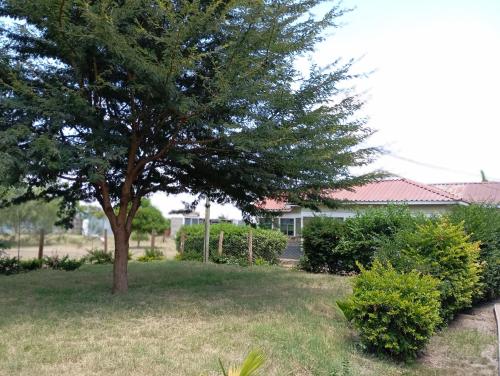 Photo de la galerie de l'établissement Koipoi Cottage, à Kimana