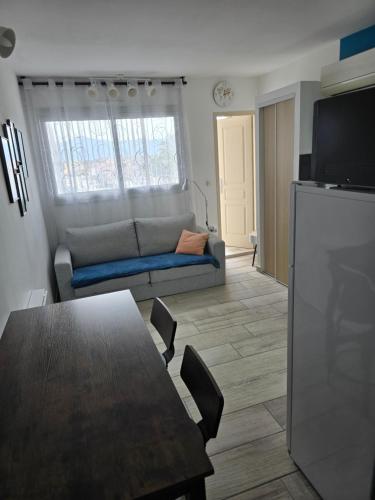 Μια τηλεόραση ή/και κέντρο ψυχαγωγίας στο Studio climatisé 50 m.du port