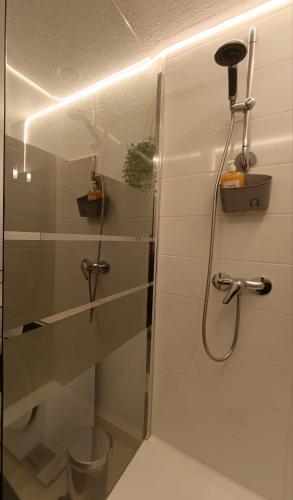 a bathroom with a shower with a glass door at Bel appartement hyper centre in Dax
