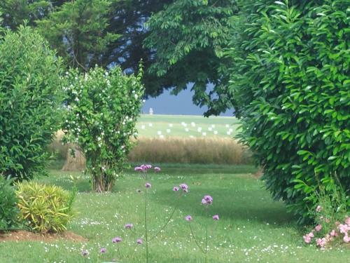 a garden with trees and flowers in the grass at La Galerne in Neuville-de-Poitou