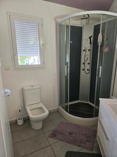une salle de bain avec une douche, des toilettes et un lavabo dans l'établissement La Villa des Lions, au Grau-dʼAgde