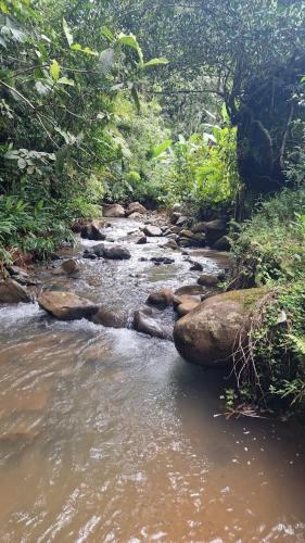 a stream of water with rocks in a forest at Wild Nest Chirripo in Rivas