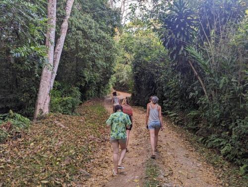 a group of people walking down a dirt road at Wild Nest Chirripo in Rivas