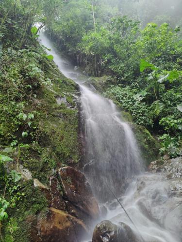 a waterfall on the side of a mountain in the jungle at Wild Nest Chirripo in Rivas