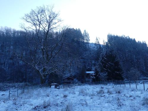 a field covered in snow with a tree and a house at Charmant vakantiehuis aan de Ourthe in Maboge La Roche en Ardenne in La Roche-en-Ardenne