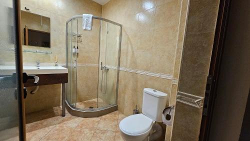 Bilik mandi di Hotel Izvorat Arda - Хотел Изворът Арда
