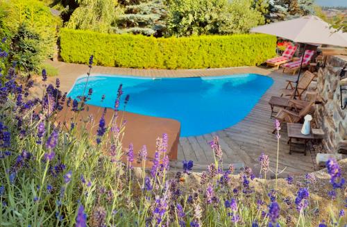 a swimming pool in a garden with purple flowers at Rotunda U Václava in Šebkovice