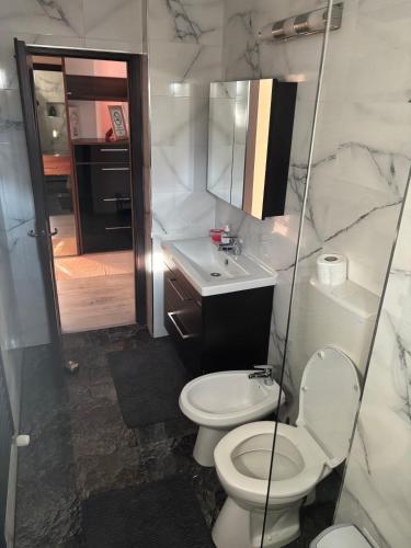 a bathroom with a toilet and a sink at Apartament SUN Drăgășani in Drăgăşani