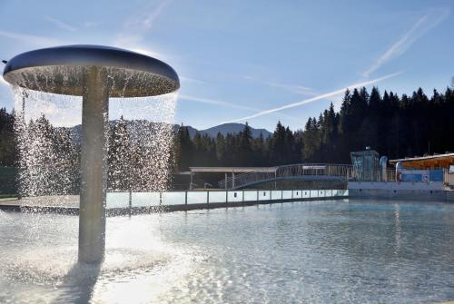 a fountain in the middle of a pool of water at MEANDER THERMAL & SKI REZORT ORAVICE in Oravice
