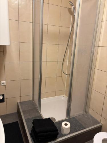 a bathroom with a shower and a toilet and a sink at Moderne Wohnung in Linz
