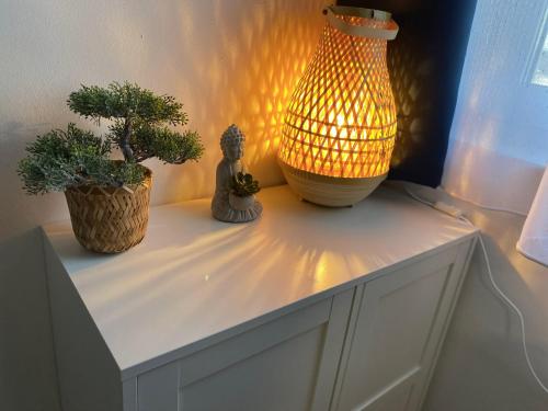a table with two potted plants and a lamp on it at Oázis Apartmanház Balatonalmádi in Balatonalmádi