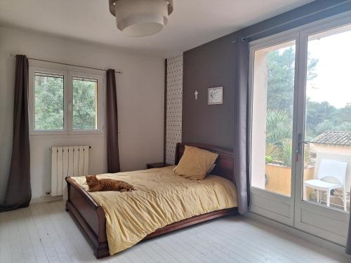 une chambre avec un lit sur lequel est allongé un chat dans l'établissement LES RESTANQUES Villa avec piscine, à Cuges-les-Pins