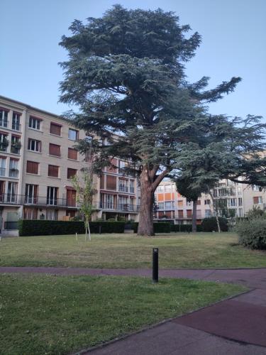 un arbre dans un parc en face d'un bâtiment dans l'établissement Room in Saint Germain Close to RER A La Defense, à Saint-Germain-en-Laye
