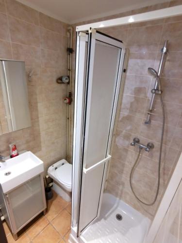 une salle de bain avec une douche, des toilettes et un lavabo dans l'établissement Room in Saint Germain Close to RER A La Defense, à Saint-Germain-en-Laye