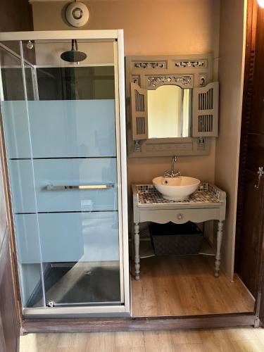 une salle de bain avec un lavabo et une douche en verre dans l'établissement Artist Ernest Renoux's Atelier, Romantic Retreat, à Romeny-sur-Marne