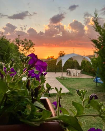 a view of a sunset from a garden with purple flowers at El Rincón de Willy in Zazuar